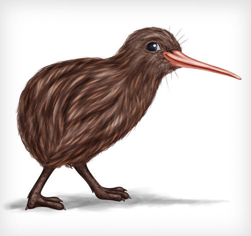 Meet “Hudson” – our Kiwi little Critter