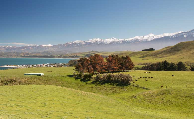 Kaikoura