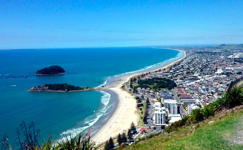 Tauranga-4