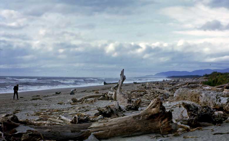 West Coast new zealand