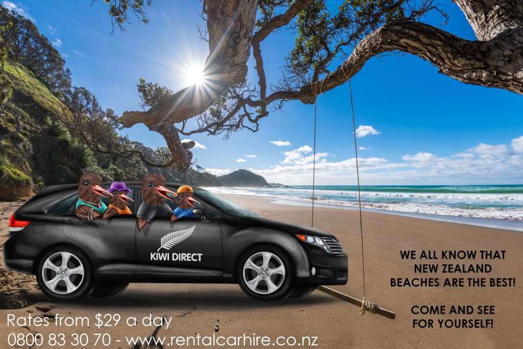 Rustic swing on deserted beach with peeling wave in the background - Daisy Bay on the Tutukaka Coast, Northland.